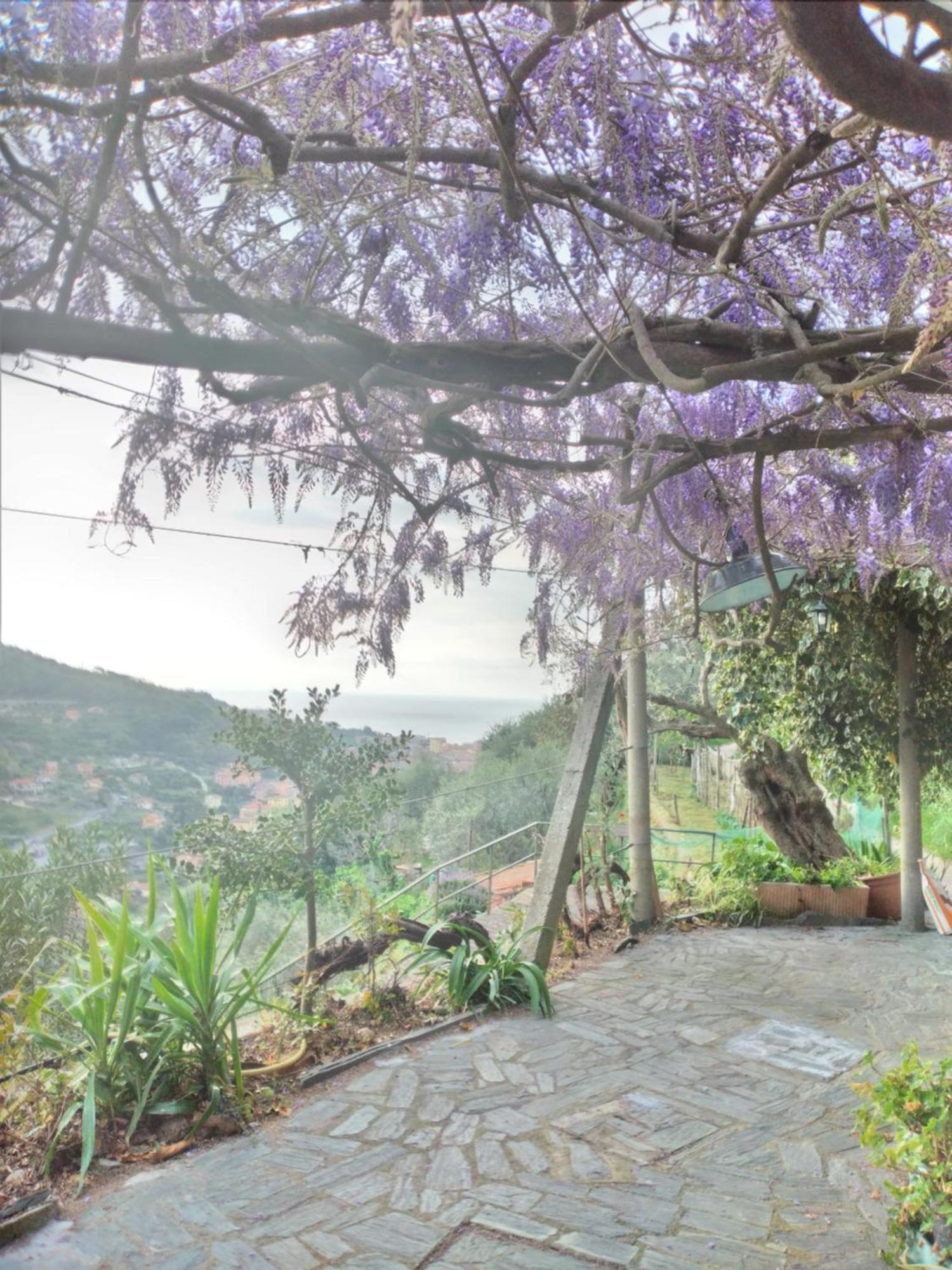 Hotel Ca Degli Ulivi Finale Ligure Exterior foto